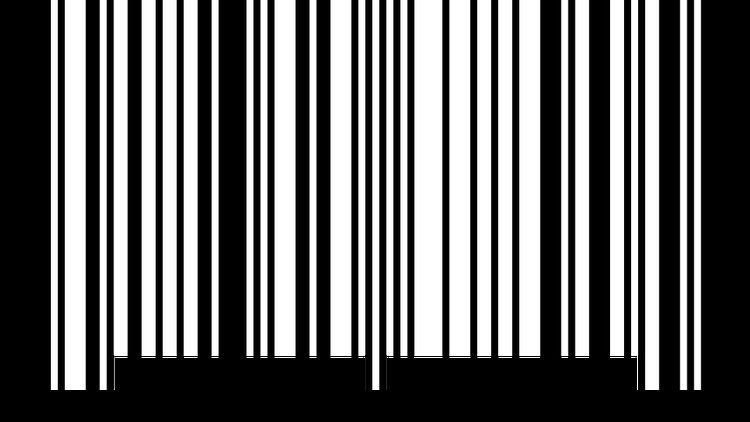 53881